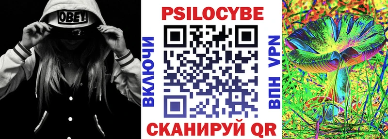 mega как войти  Чудово  Галлюциногенные грибы Psilocybe 